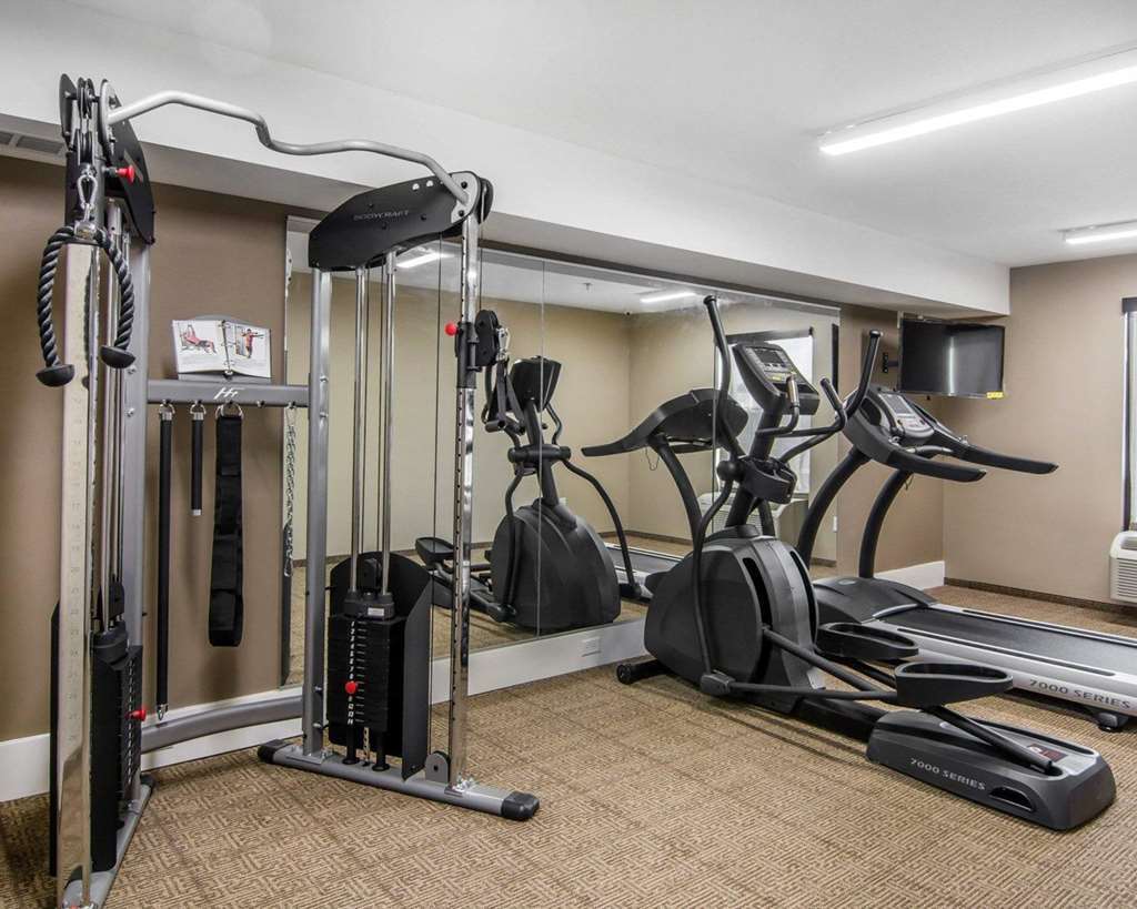 Comfort Inn South Chesterfield - קולוניאל הייטס מתקנים תמונה